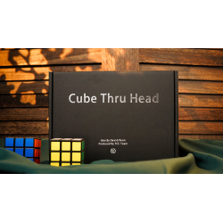 The Cube Through Head by David Penn and TCC