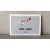 Cupid Rabbit by JT