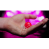 OBEDIENT BALL (Gimmicks and Instructions) by Apprentice Magic - Trick