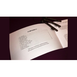 Devilish Impuzzibilities by Jim Steinmeyer - Book