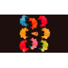 Deluxe Spring Flowers by Alan Wong - Trick