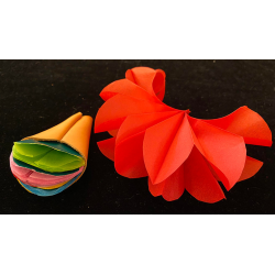 Deluxe Spring Flowers by Alan Wong - Trick