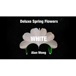 Deluxe Spring Flowers WHITE by Alan Wong - Trick