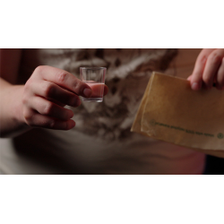 VANISHING COIN (Gimmicks and Instructions) by Apprentice Magic - Trick