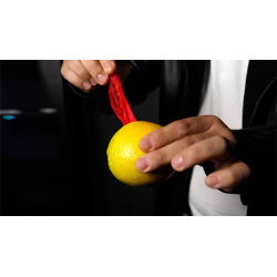 VANISHING HANDKERCHIEF (Gimmicks and Instructions) by Apprentice Magic - Trick