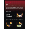 Celltic by David Kemsley - DVD