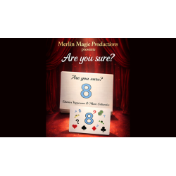 Are You Sure? by Damien Vappereau and Marc Céliandre