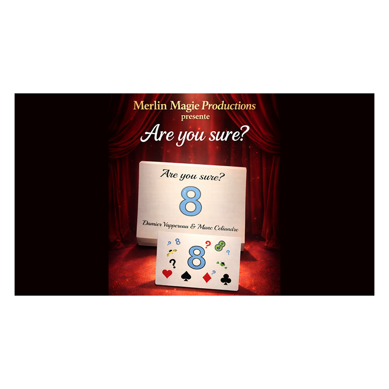 Are You Sure? by Damien Vappereau and Marc Céliandre