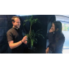 Echo Book Test by Vincent Hedan (Hypnosis)