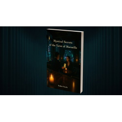 Echo Book Test by Vincent Hedan (Tarot de Marseille)