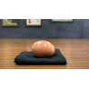EGG BAG BLACK by Bacon Magic - Trick
