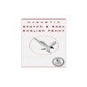 Magnetic Scotch and Soda English Penny by Eagle Coins - Trick