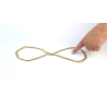 Endless Chain (Gold)