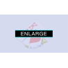 Enlarge (DVD and Gimmicks) by SansMinds - DVD