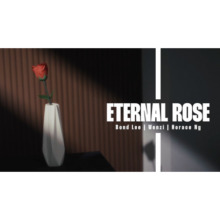 Eternal Rose by Bond Lee