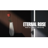 Eternal Rose by Bond Lee