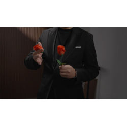 Eternal Rose by Bond Lee