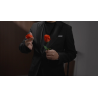 Eternal Rose by Bond Lee