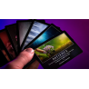 Evoke (Gimmicks and Online Instructions) by Craig Petty - Trick
