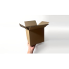 Examinable Box by Blake Vogt