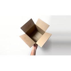 Examinable Box by Blake Vogt