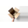 Examinable Box by Blake Vogt