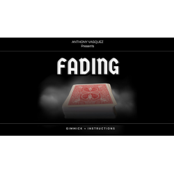 Fading (Red) by Anthony Vasquez