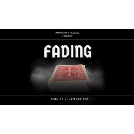 Fading (Red) by Anthony Vasquez
