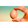 Fake Egg Brown by Quique Marduk - Trick