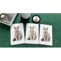 Art Prediction by N2G and Kaifu Wang - Trick