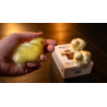 THE FINAL LOAD (Baby Chicks) by Murphy's Magic