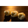 THE FINAL LOAD (Baby Chicks) by Murphy's Magic