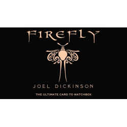 Firefly by Joel Dickinson