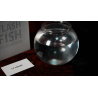 Flash Fish Production by LT Magic