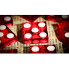 Michael Breggar's Flat Dice by TCC Magic