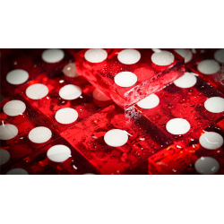 Michael Breggar's Flat Dice by TCC Magic