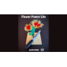 FLOWER POWER LITE by Alan Wong