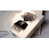 Focus by Craig Petty