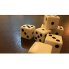 Forcing Casino Dice Set (8 ct.) by Alan Wong - Trick