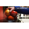 FRUITFULL 2.0 by Juan Pablo - Trick