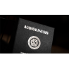 Audiokinesis by Hoang Doan Minh and Artisan Coin (Dollar) - Trick