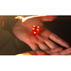 Gecko Pro System (Gimmicks and Online Instructions) by Jim Rosenbaum - Trick