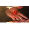 Gecko Pro System (Gimmicks and Online Instructions) by Jim Rosenbaum - Trick