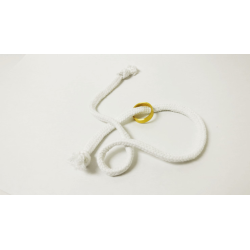 Gemini Ring Brass by Chazpro