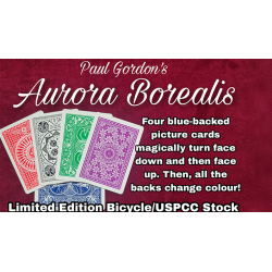 Aurora Borealis by Paul Gordon