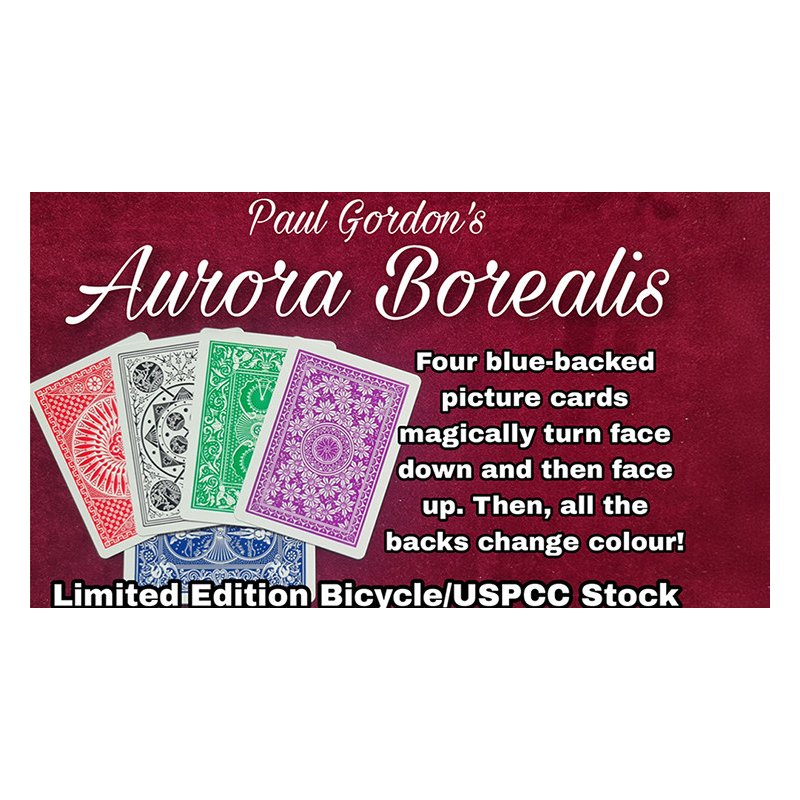 Aurora Borealis by Paul Gordon