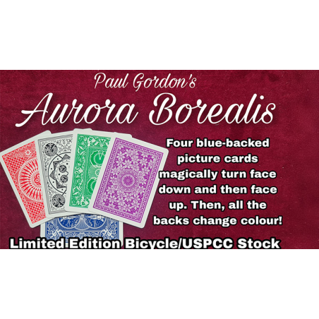Aurora Borealis by Paul Gordon