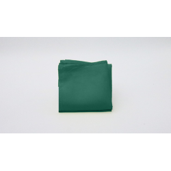 Silk 12 inch Single (Dark Green) Magic by Gosh