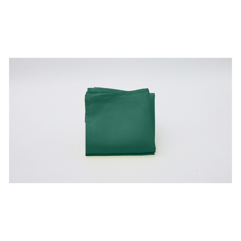 Silk 12 inch Single (Dark Green) Magic by Gosh