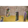 Gravity Clips by Greg Van Holsbeck
